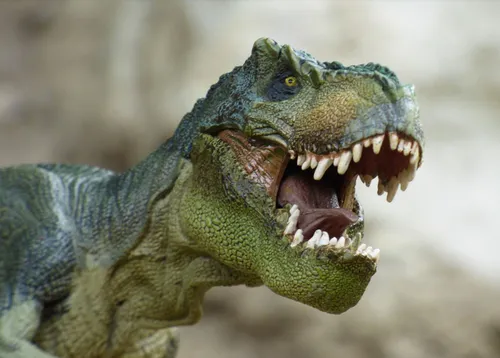 Une exposition de dinosaures à Liévin ce week-end