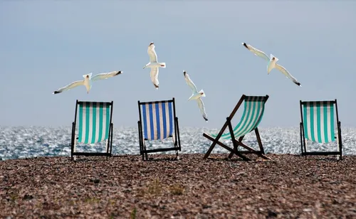 Où sont partis les habitants de la région cet été ?