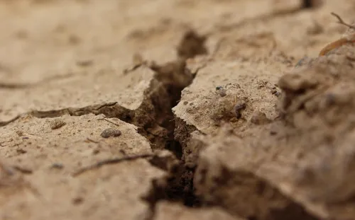 Sécheresse : alerte renforcée dans trois bassins du Pas-de-Calais