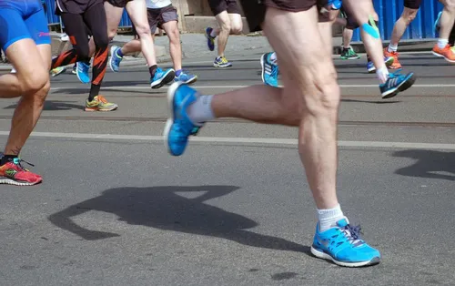 Pas de Raid'Louffes ce week-end aux Berlouffes de Wattrelos