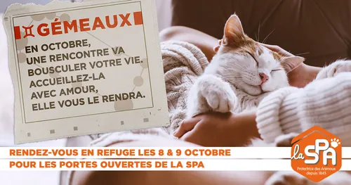 Journées "adoption" à la SPA