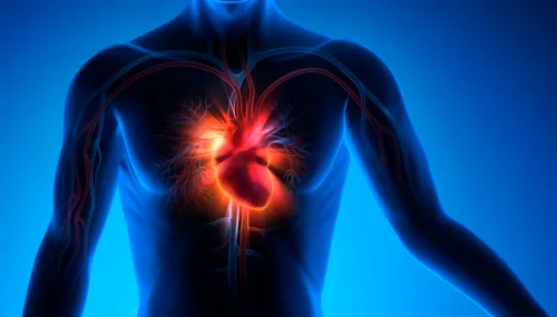 Journée sensibilisation aux maladies cardio-vasculaires à Lille