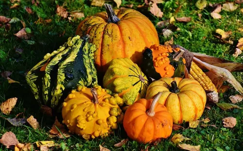 Fête de la courge et de la sorcellerie à Marchiennes ce dimanche