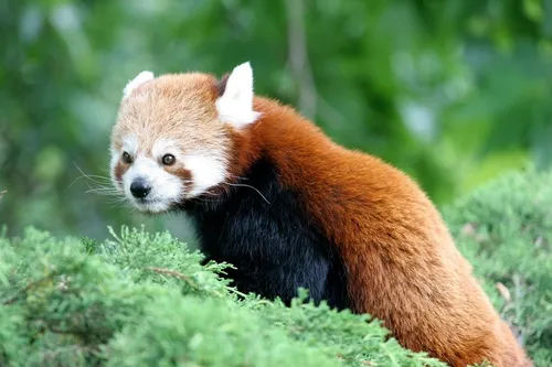 Le zoo de Lille en heure d'hiver