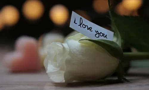 Pas-de-Calais : un hommage rendu à Lola vendredi à Fouquereuil