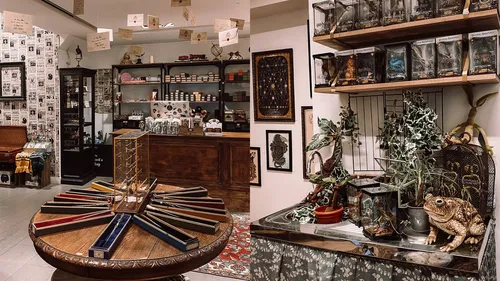 Halloween Wizard's shop à Lille