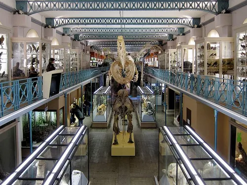 Le musée d'histoire naturelle de Lille va fermer deux ans