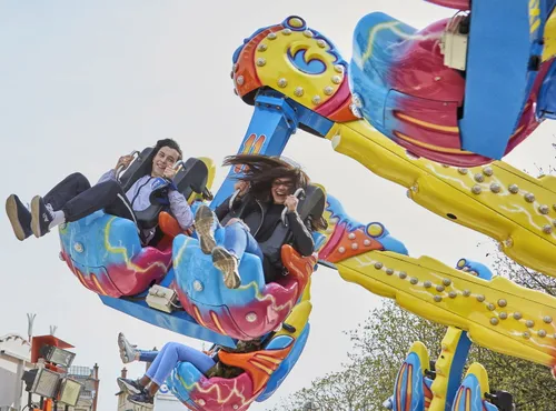 Que faire ce 1er novembre dans la région ?