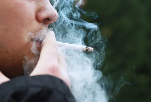 Interdiction de fumer dans les espaces verts de Lambersart