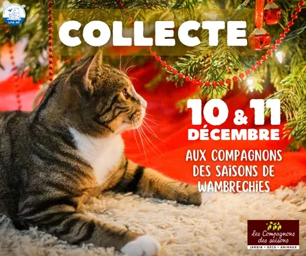 Nouvelle collecte pour les animaux de la LPA ce week-end