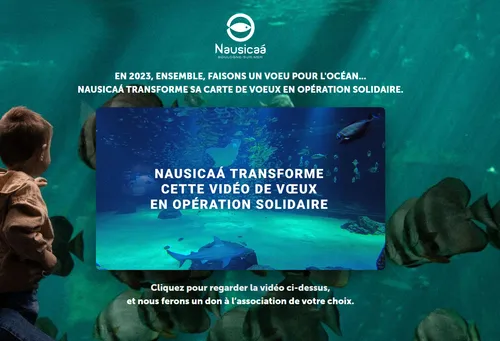 Une carte de vœux solidaire avec Nausicaa