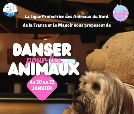 La LPA présente au Manoir de Bailleul ce week-end