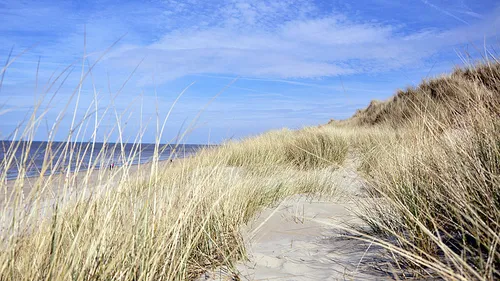 Des villes du Nord-Pas-de-Calais distinguées pour leur accueil