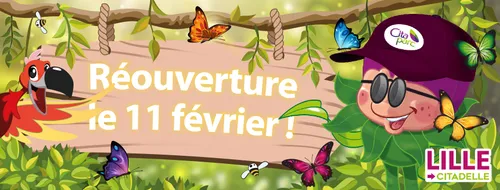Cita Parc rouvre ce samedi à Lille !