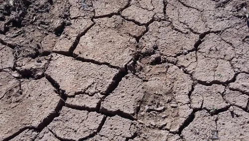 Pas de vraie pluie depuis un mois dans la région
