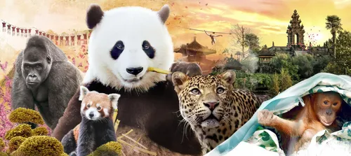 Pairi Daiza recrute !