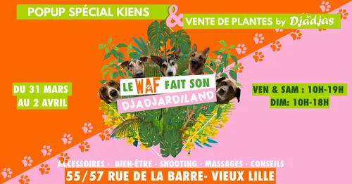 Un événement pour les chiens et leurs maîtres à Lille ce week-end