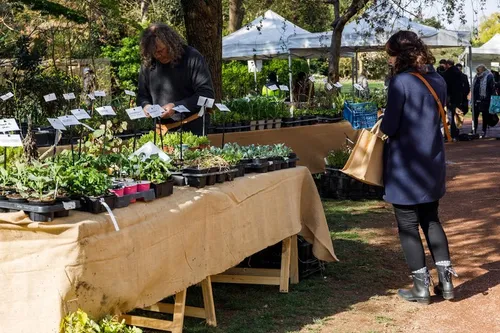 L'événement « Lille aux Jardins » de retour ce samedi