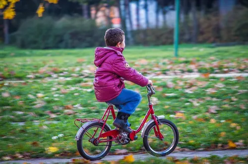 Place aux mobilités douces à Lille ce vendredi