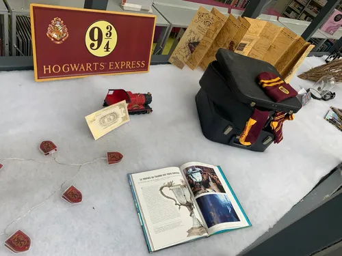 Une journée d'animations autour de Harry Potter ce samedi