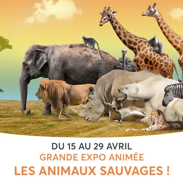 Des animaux de la savane robotisés à Aushopping Amiens