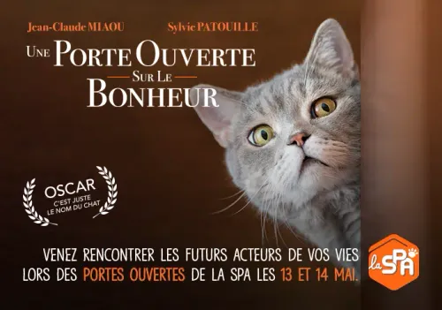 La SPA « fait son cinéma » et ouvre ses portes ce week-end !