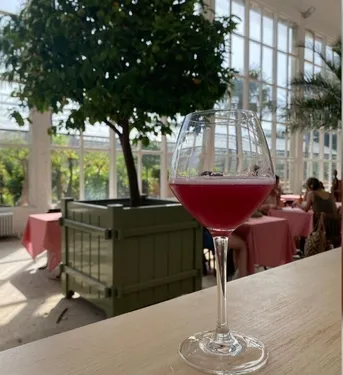 L'Orangerie fait son retour au jardin des plantes à Lille