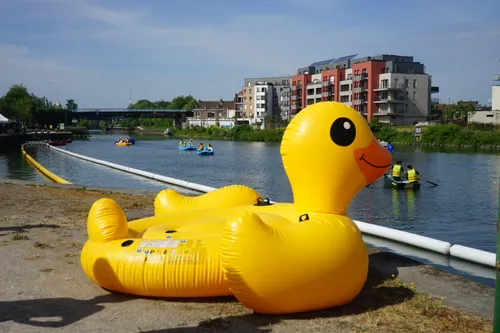 Une course insolite de canard en plastique à La Madeleine