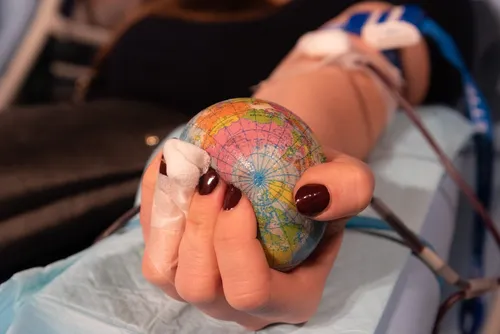 Une collecte de sang au Palais des Beaux-Arts de Lille ce mardi