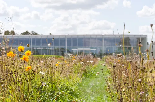 Des animations au Louvre Lens pour les Rendez-vous aux jardins