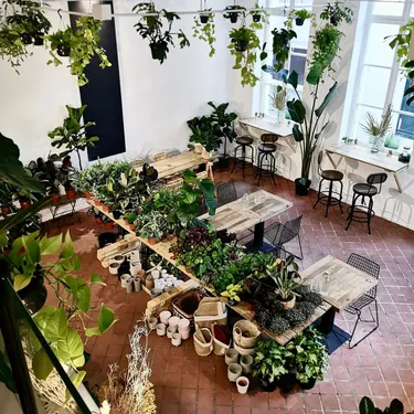 Wilder : le nouveau bar-resto-boutique de plantes aux Halls de la...