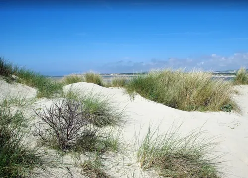 Le Pas-de-Calais plébiscité pour les vacances d'été !