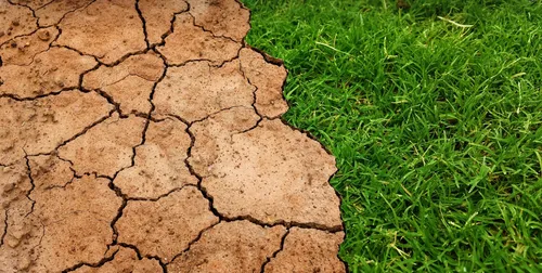 Une partie du Nord en alerte sécheresse