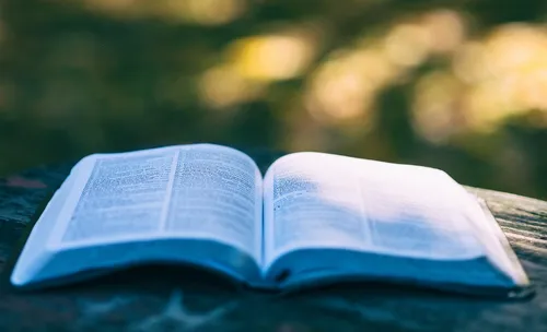 Le Musée Plein Air fête le livre et la BD