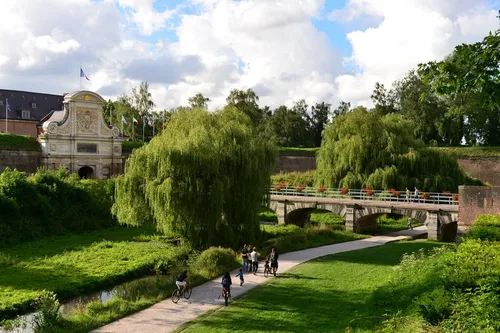 Intoxication de chiens à la Citadelle de Lille : la ville porte...