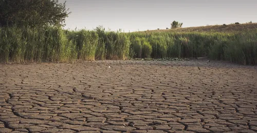 Un plateforme pour connaître les restrictions près de chez vous