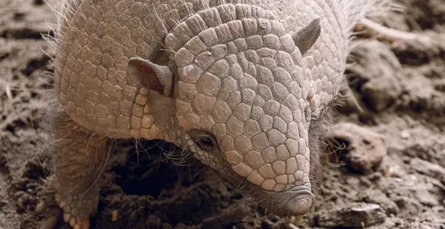 Devenez un super-héros de la biodiversité à Bio-Topia