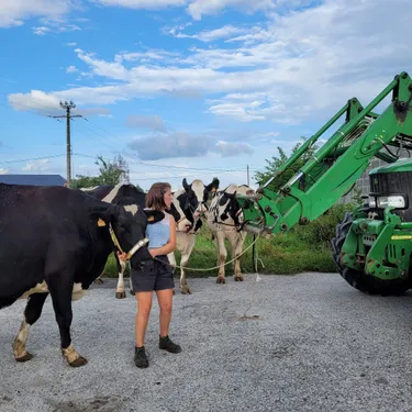 Connaissez-vous le "loto bouse" ?