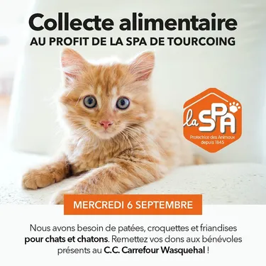 Une collecte pour la SPA de Tourcoing ce mercredi