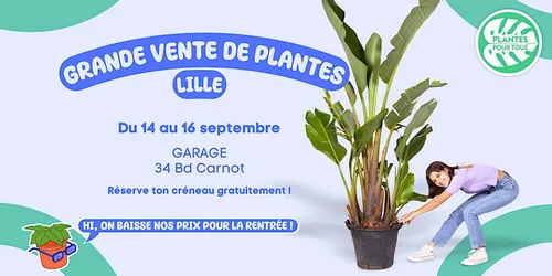Nouvelle vente de plantes cette semaine à Lille