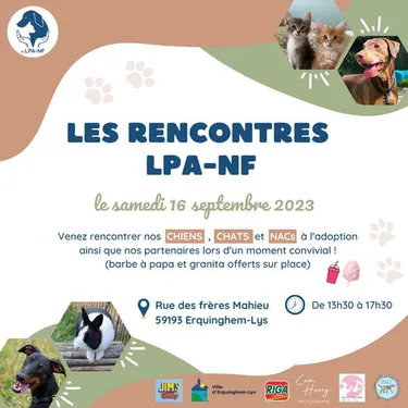 Venez rencontrer les animaux de la LPA à Erquinghem-Lys !