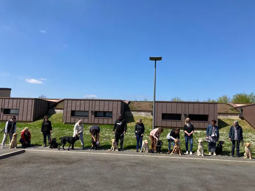 Les idées de sorties du week-end dans la région