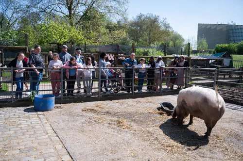 La fête de l'automne à la ferme Marcel Dhénin à Lille