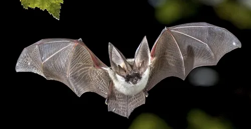 Des animations Halloween à Bio-Topia