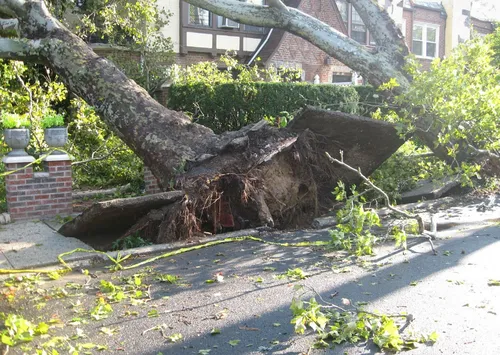 Tempête Ciaran : les mesures prises dans la région