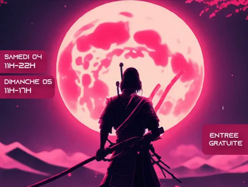 Une première convention pop culture à Wingles