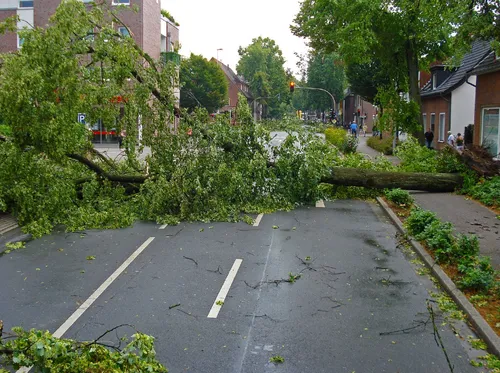 Tempête Ciaran : le délai pour déclarer les sinistres prolongé