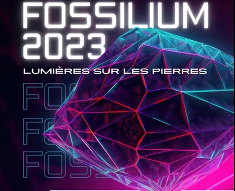 Le salon Fossilium de retour à Villeneuve d'Ascq