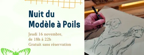 La Nuit du Modèle à Poils revient à Lille