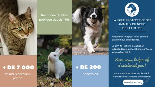 La LPA de Lille et Roubaix lance un appel aux dons